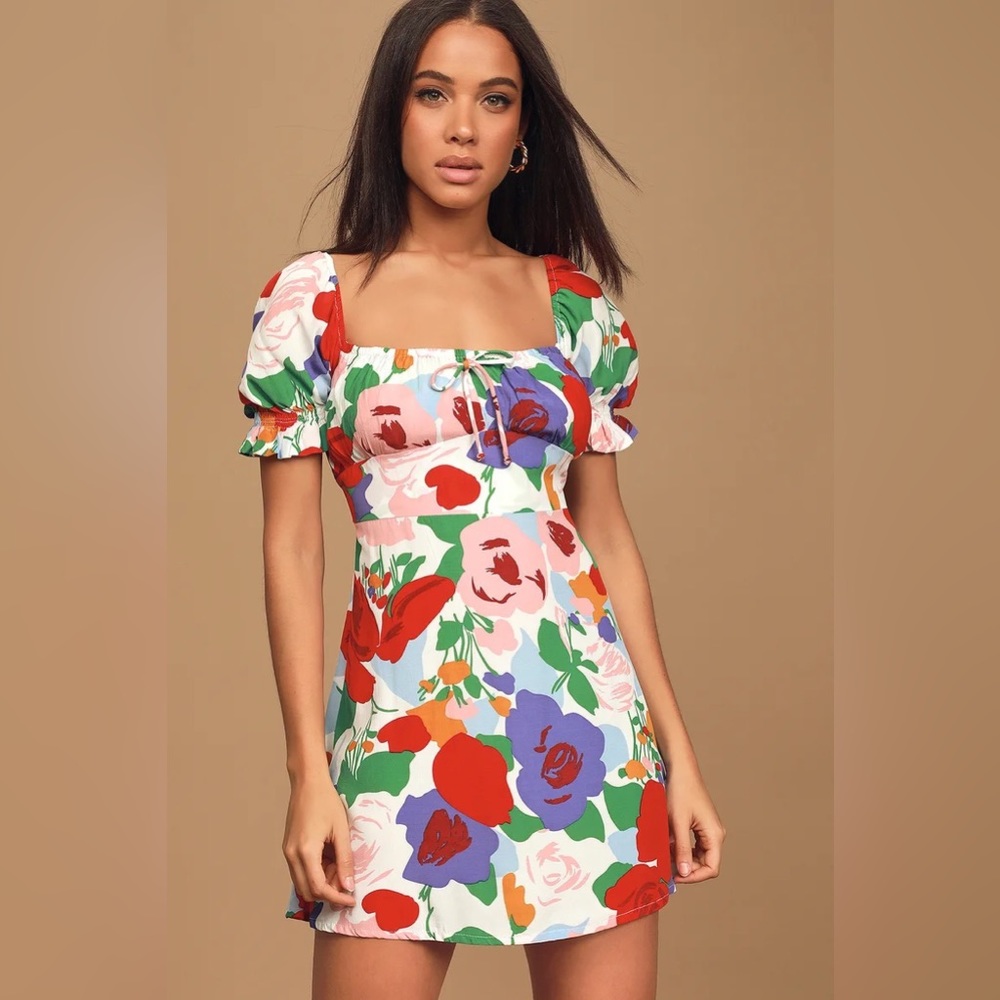 Faithful the Brand Iris Mini Dress in Anita Floral size Small